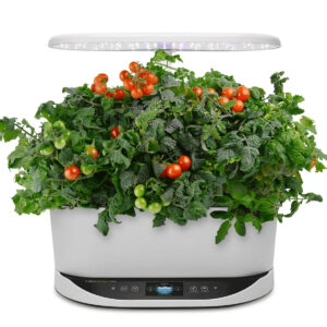 AeroGarden Indoor Planter