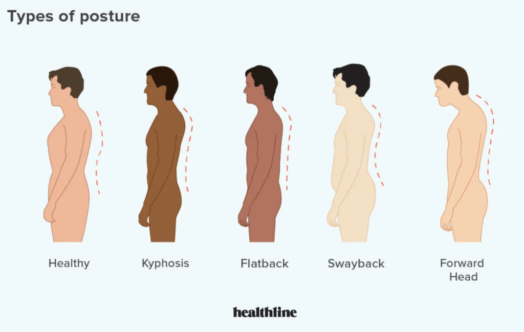 Types of Proper Posture