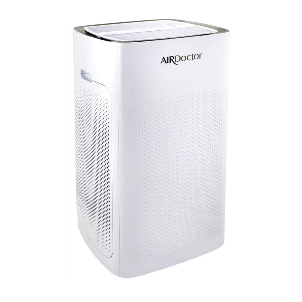 Are Ozone Air Purifiers Safe? Best Air Filter Buying Guide
