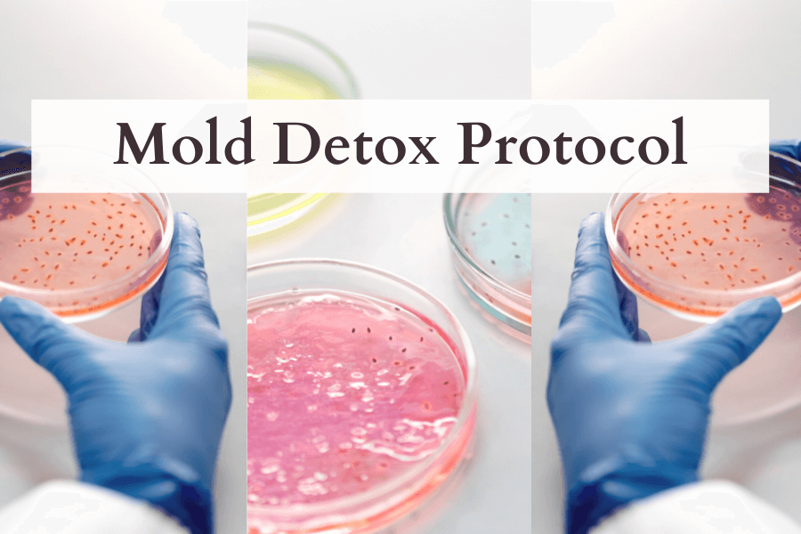 Mold-Detox-Protocol