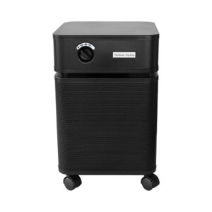 Austin Air Purifier