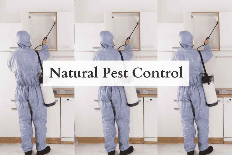 Natural Pest Control