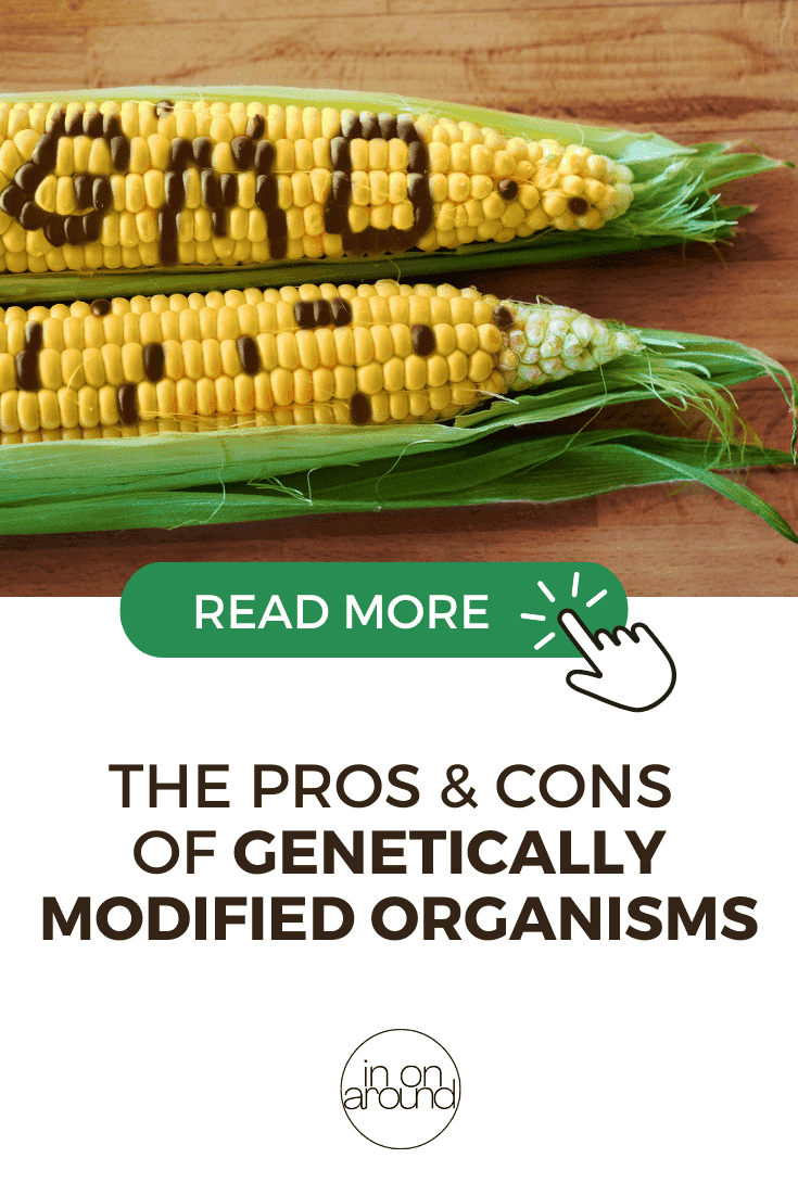 Pros And Cons Of GMOs 2