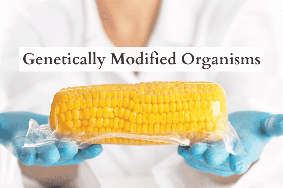 Pros And Cons Of GMOs 3