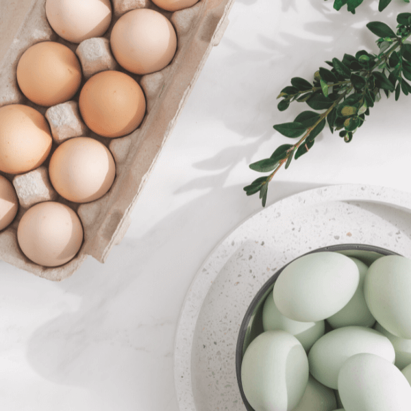 Best Eggs To Buy: Pasture-Raised, Free-Range, Or Cage-Free?