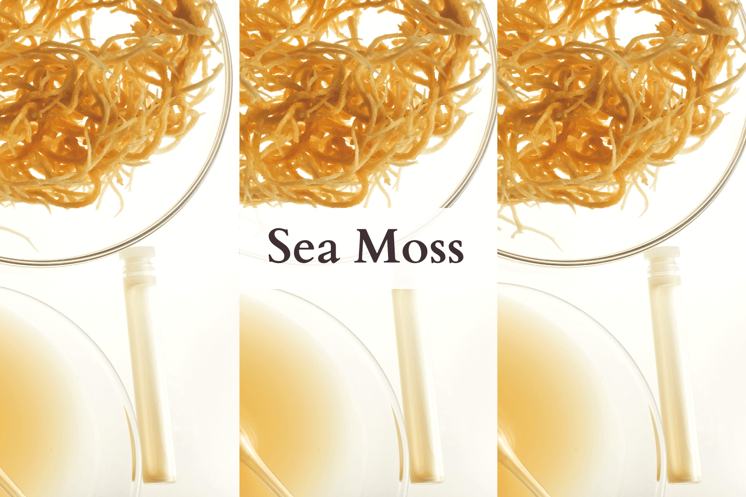 Is Sea Moss Healthy?