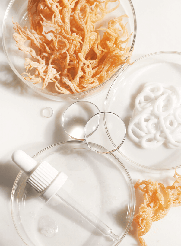 What Is Sea Moss Gel, the Smoothie Ingredient Made Famous by Erewhon? -  Eater