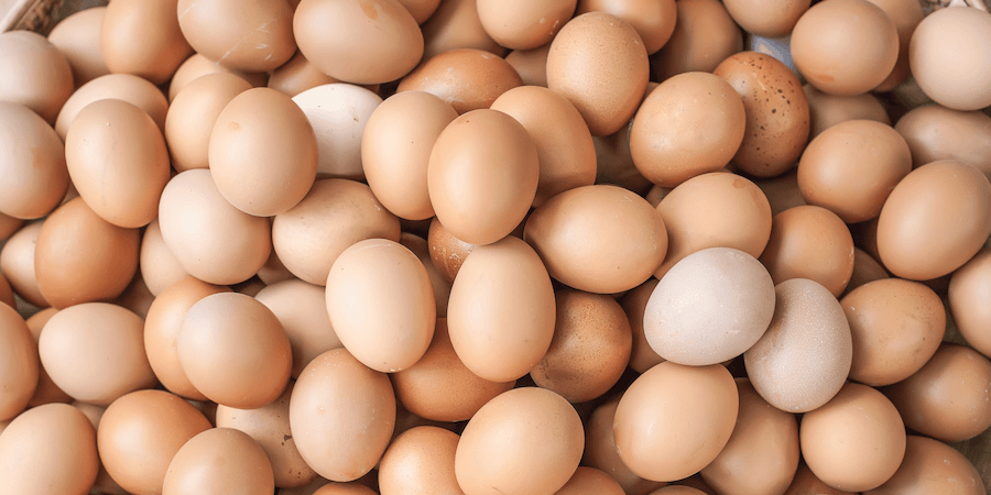 Best Egg Brands To Buy