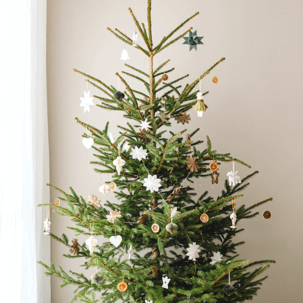 Non-Toxic Christmas Tree