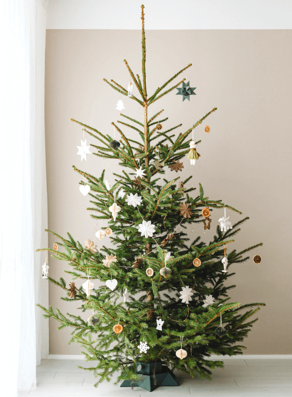 Non-Toxic Christmas Tree