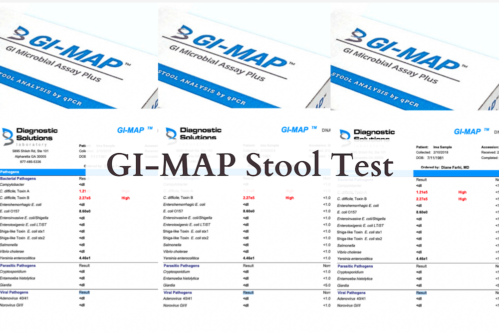 GI-MAP Stool Test