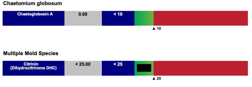 MycoTOX Testing 3