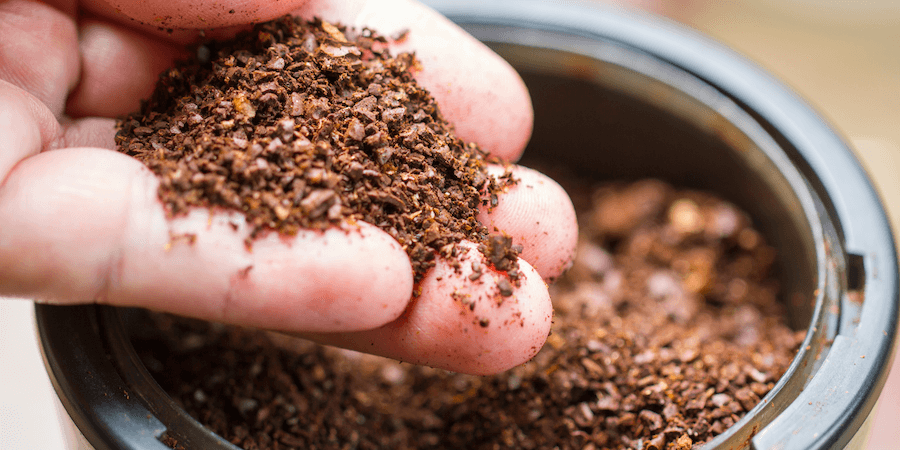Coffee Without Mold