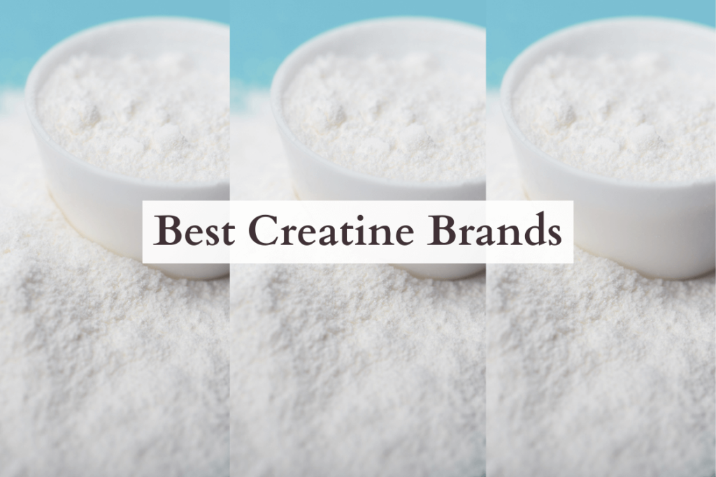 The Best Creatine Brands